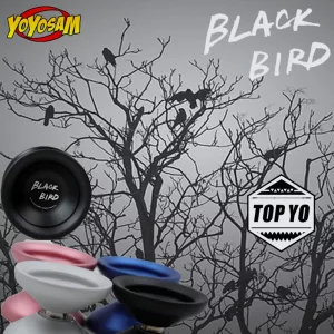 Black Bird