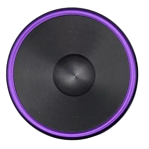 Jester